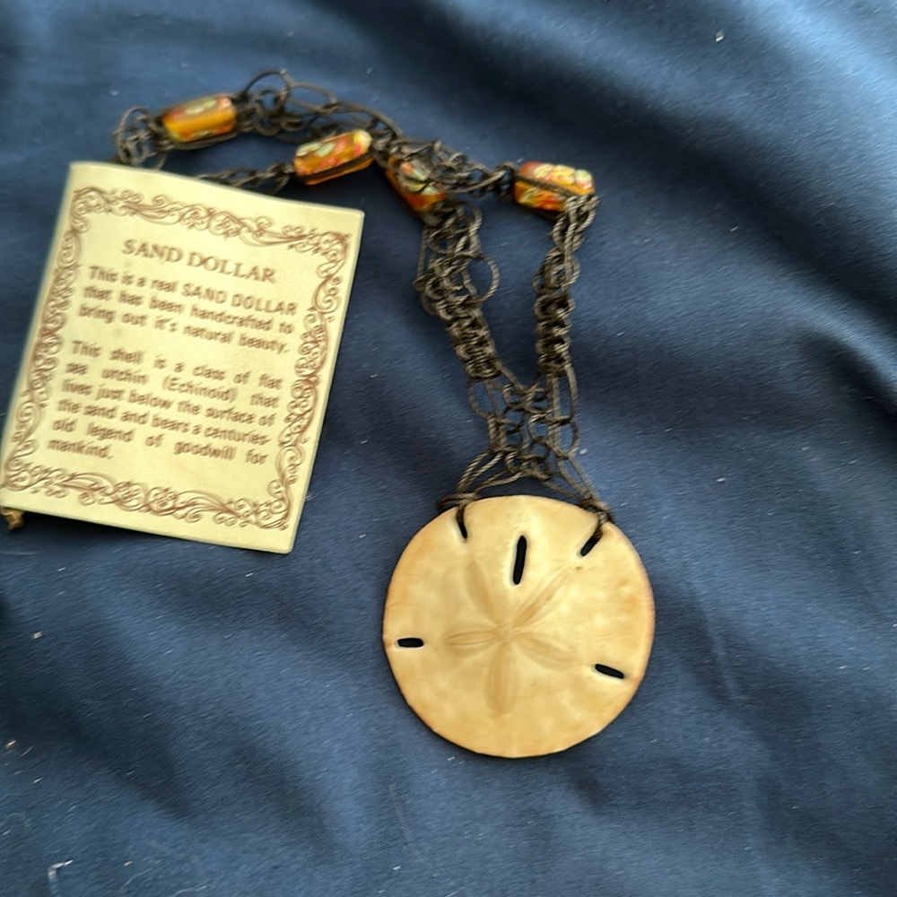 Sand dollar necklace
